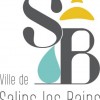 nouveau-logo-salins-les-bains