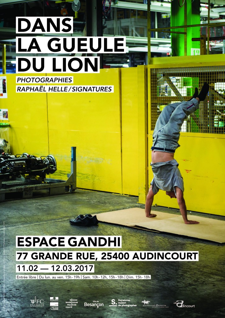 visuel expos dans la gueule du lion