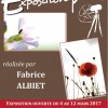 Exposition Fabrice Albiet au Caveau des Remparts de Delle