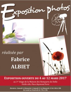 Exposition Fabrice Albiet au Caveau des Remparts de Delle