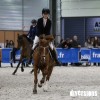 Salon du Cheval 2017 en février dernier à Micropolis Besançon