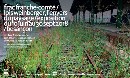 Lois Weinberger, Olivier Vadrot et Régis Perray au Frac Franche-Comté, Cité des Arts à Besançon