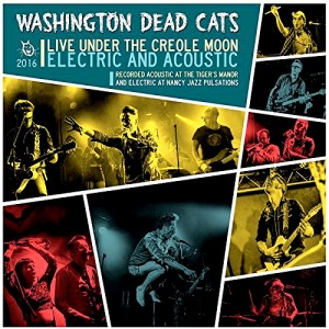 Washington Dead Cats au Swamp Fest à Thise