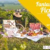 affiche pic nic citadelle