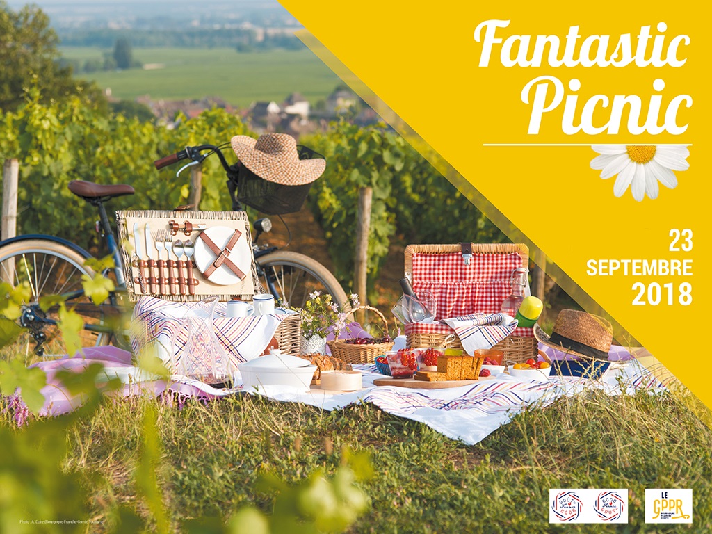 affiche pic nic citadelle