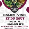 affiche-salon-du-vin-audinc