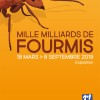 affiche-expo-fourmis-pavill