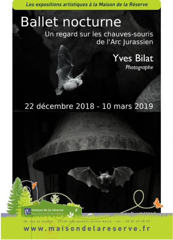 visuel exposition ballet nocturne yves bilat