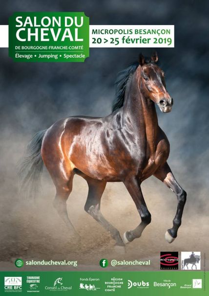 visuel salon du cheval 2019