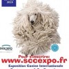 visuel expo canine dole