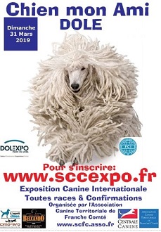 visuel expo canine dole