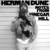 Herman Dune - Notes From Vinegar Hill - Chronique album