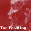 expo-pei-ming-unterlinden