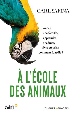 Carl Safina - A l'école des animaux - Buchet Chastel - Chronique livre
