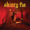 Fontaines D.C. - Skinty Fia - Chronique de l'album dans le magazine Diversions