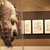Photo : Les Editions Diversions
