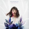 Mesparrow chronique de l'album Jungle contemporaine