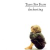 Chronique album The Hurting par Tears For Fears