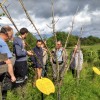 Programme 1,2,3... nature ! dans le Pays de Montbéliard