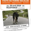 visite-de-ferme-décalée