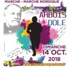 affiche marathon arbois