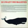 Le Chant des Baleines, Capitol Records, 1978. Sound Collection Guy Schraenen / Centre de recherche pour les publications d’artistes / Musée d’art moderne 
Weserburg, Brême © DR, photo : Bettina Brach