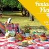 visuel fantastic picnic