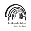 nouveau logo la grande saline