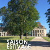 visuel-saison-estivale-sali