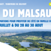 visuel animations malsaucy été 2020