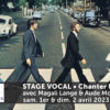 visuel stage vocal