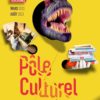 visuel culture montbeliard