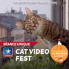 CatVideoFest aux cinémas Kinépolis de Belfort et Mulhouse le 26 septembre