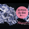 Mois du film documentairre 2025 dans le Territoire de Belfort