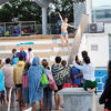 Dijon, Quetigny et Barbirey-sur-Ouche – Entre cour et jardins Pool Party - Photo Guillaume Castelot